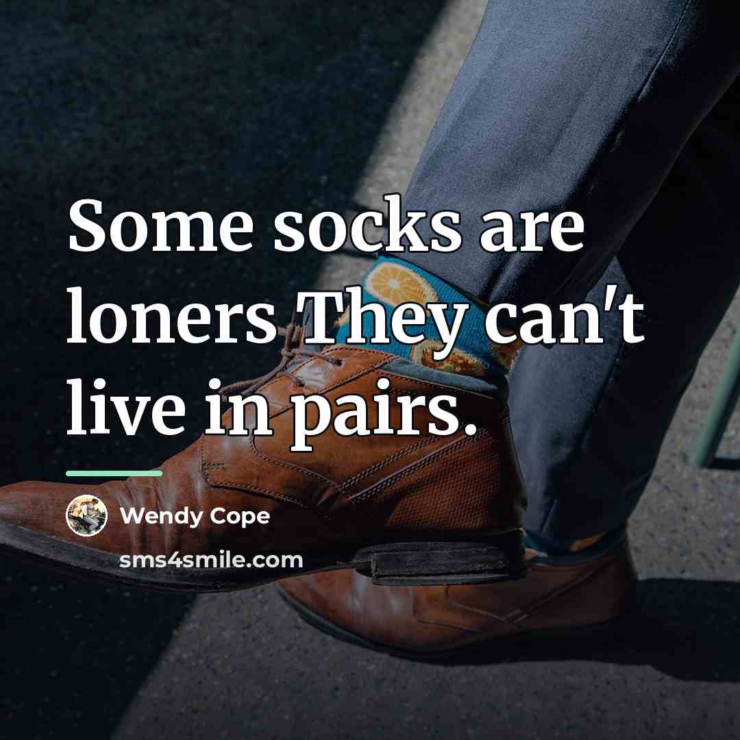“Some socks are loners They can't live in pairs.…” quote by Wendy Cope