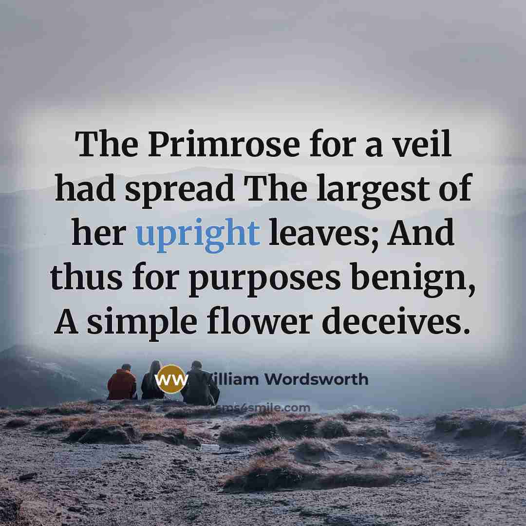 “The Primrose for a veil had spread The largest of…” quote by William Wordsworth