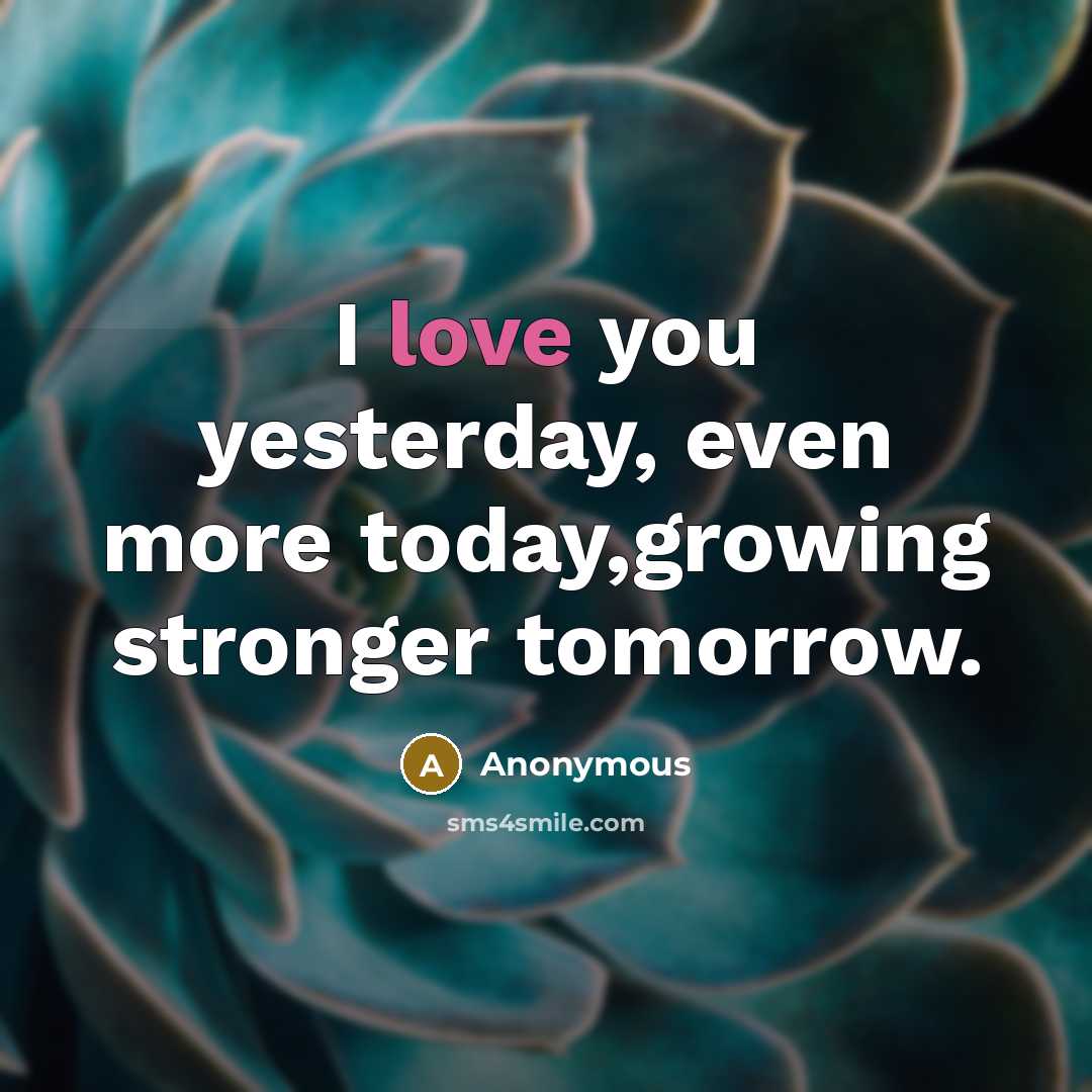 “I love you yesterday, even more today,growing stronger tomorrow.” quote by Anonymous