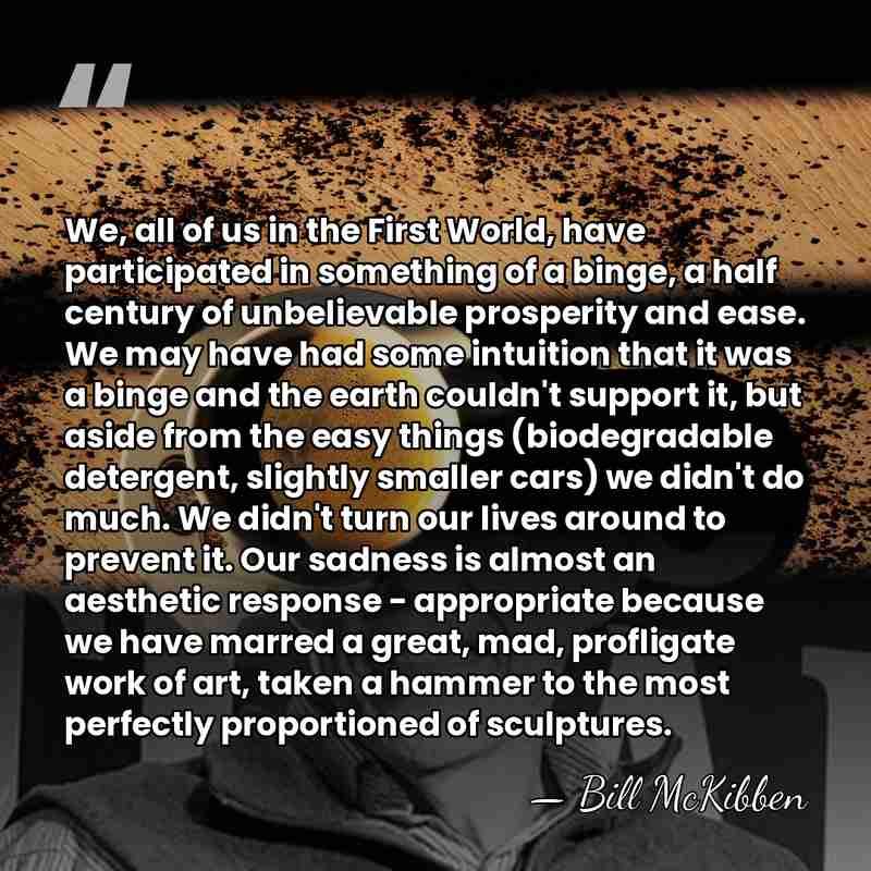We, all of us in the First World, have participated in something&hellip; - Bill McKibben