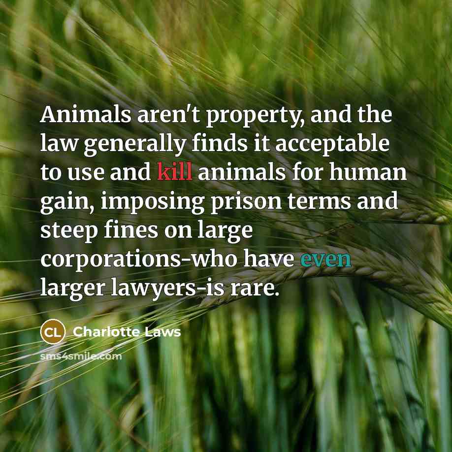 “Animals aren't property, and the law generally finds it acceptable…” quote by Charlotte Laws