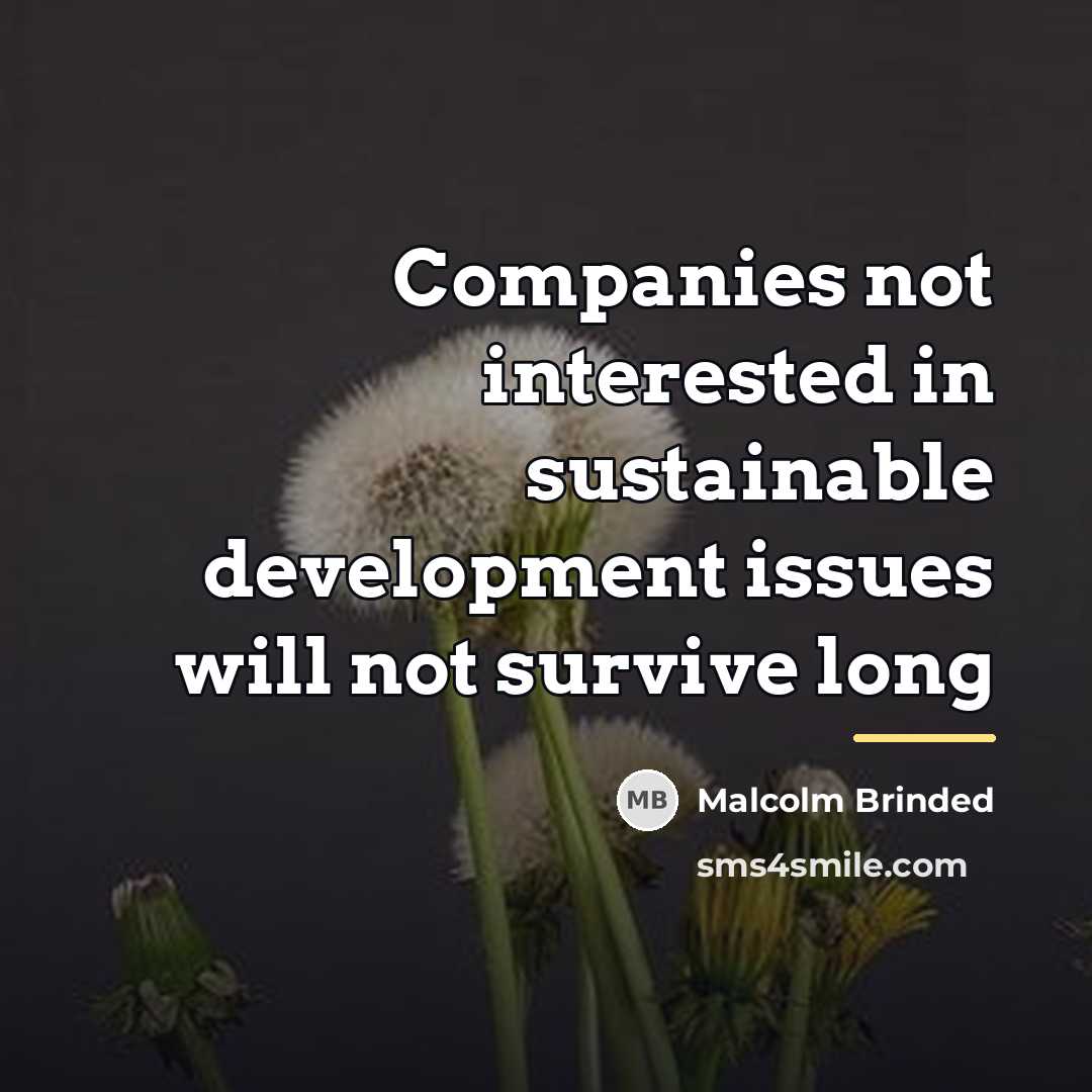 “Companies not interested in sustainable development issues will not survive…” quote by Malcolm Brinded