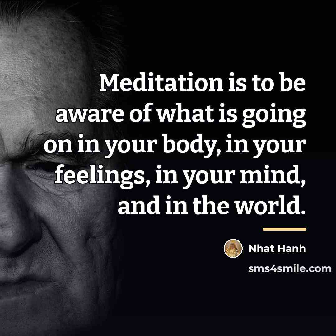 “Meditation is to be aware of what is going on…” quote by Nhat Hanh
