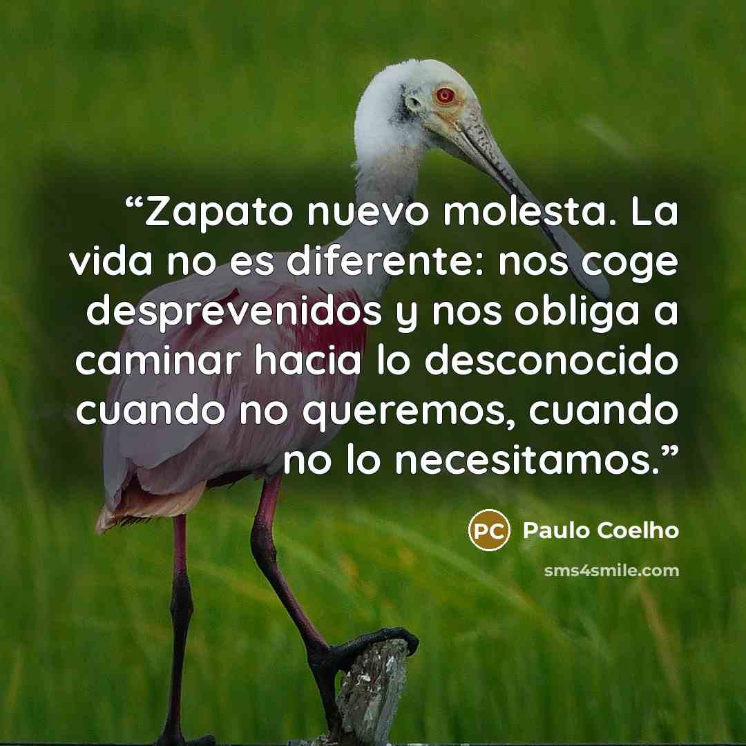 “Zapato nuevo molesta. La vida no es diferente: nos coge desprevenidos y nos obliga a caminar hacia lo desconocido cuando no queremos, cuando no lo necesitamos.” quote by Paulo Coelho