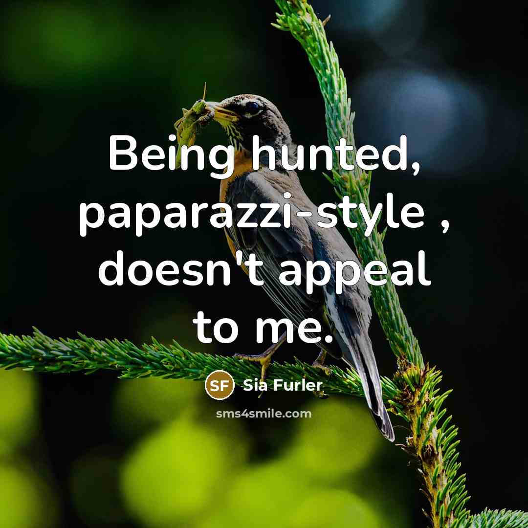 “Being hunted, paparazzi-style , doesn't appeal to me.…” quote by Sia Furler