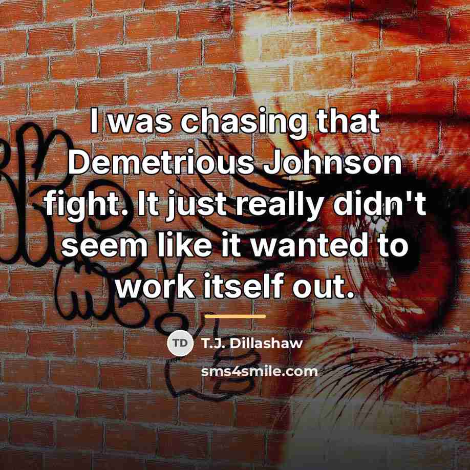 “I was chasing that Demetrious Johnson fight. It just really…” quote by T.J. Dillashaw