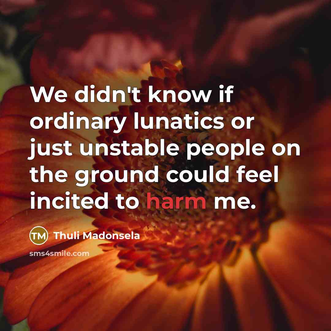“We didn't know if ordinary lunatics or just unstable people…” quote by Thuli Madonsela