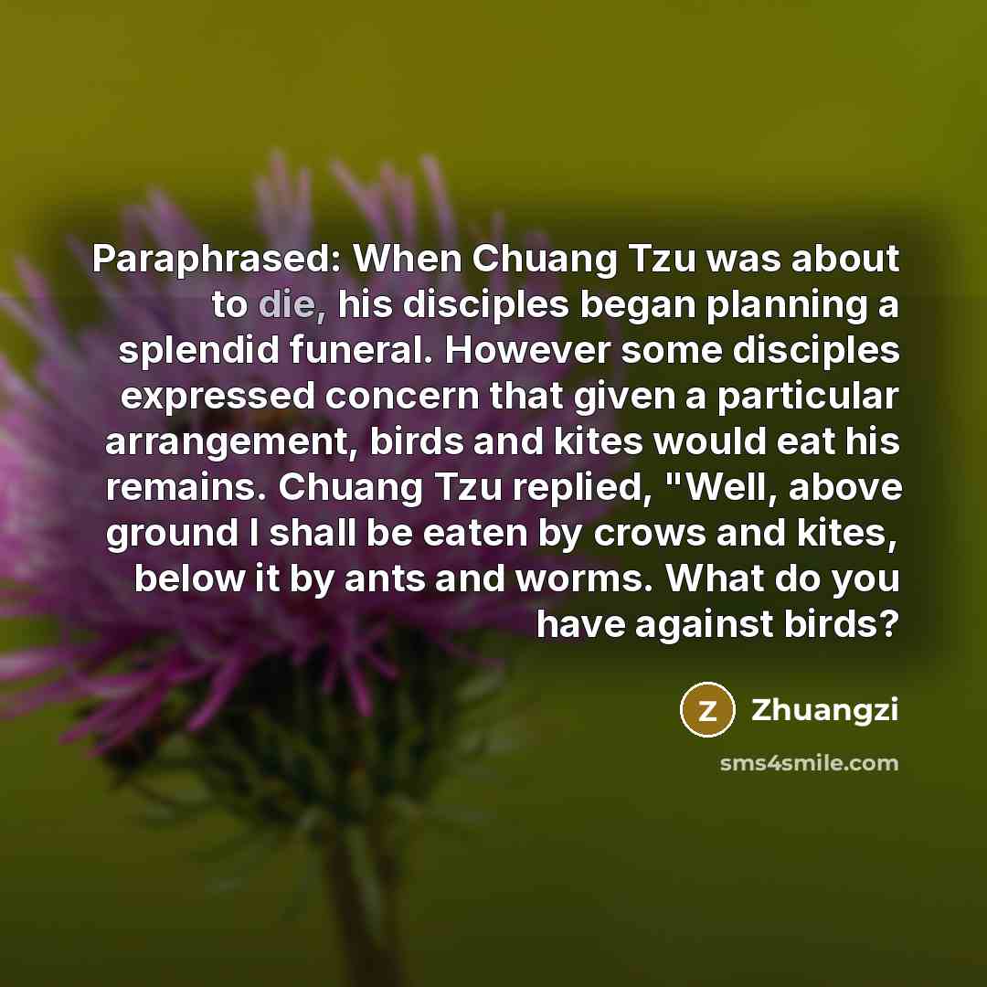 “Paraphrased: When Chuang Tzu was about to die, his disciples…” quote by Zhuangzi