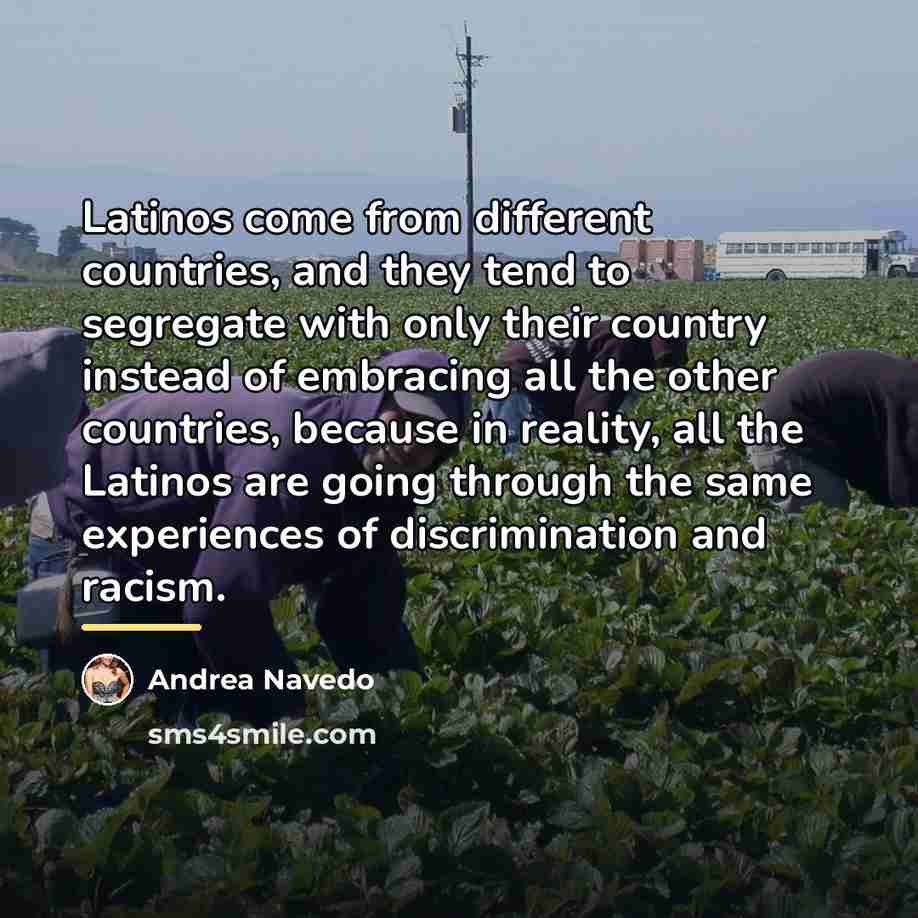 “Latinos come from different countries, and they tend to segregate…” quote by Andrea Navedo