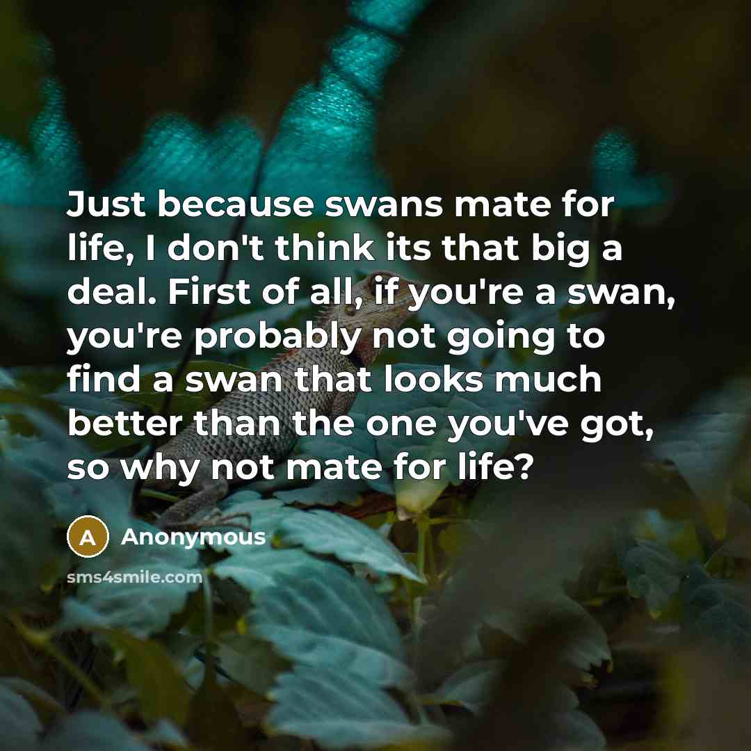 “Just because swans mate for life, I don't think its…” quote by Anonymous