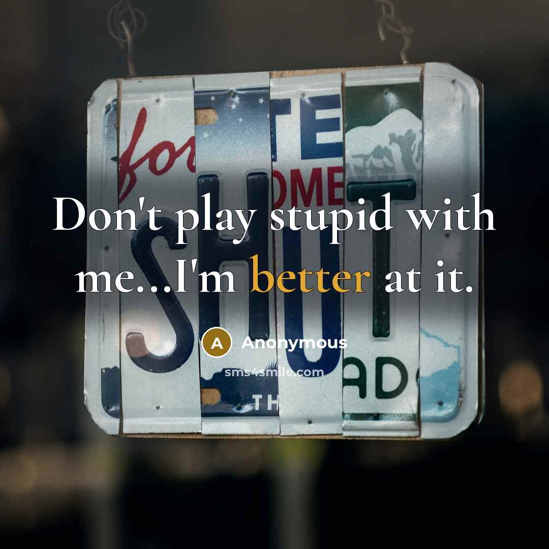 “Don't play stupid with me...I'm better at it.” quote by Anonymous