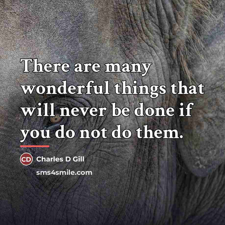 “There are many wonderful things that will never be done…” quote by Charles D Gill