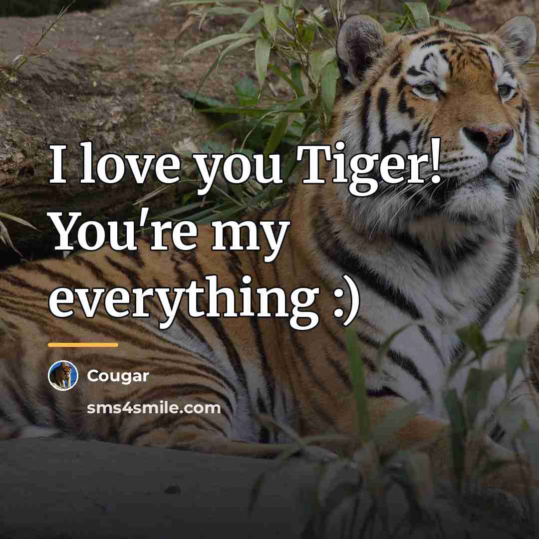 “I love you Tiger! You're my everything :)…” quote by Cougar