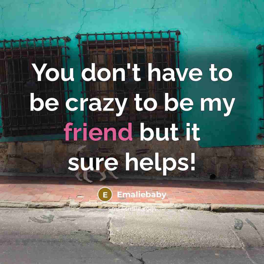 “You don't have to be crazy to be my friend…” quote by Emaliebaby