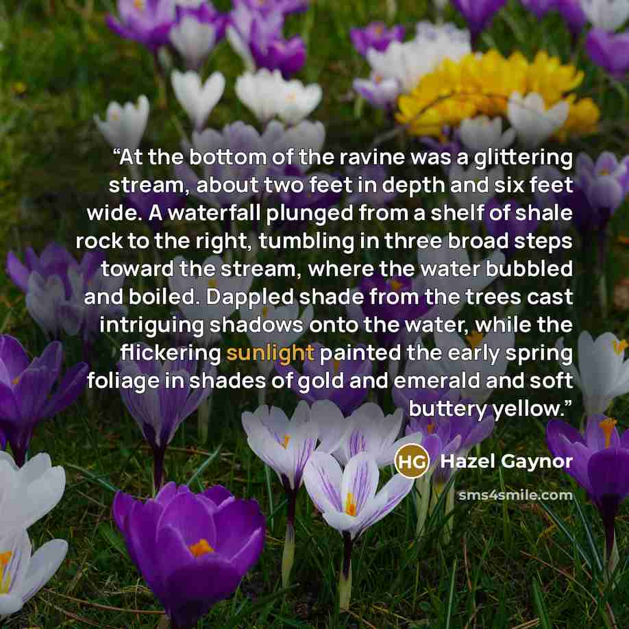 “At the bottom of the ravine was a glittering stream, about two feet in depth and six feet wide. A waterfall plunged from a shelf of shale rock to the right, tumbling in three broad steps toward the stream, where the water bubbled and boiled. Dappled shade from the trees cast intriguing shadows…” quote by Hazel Gaynor