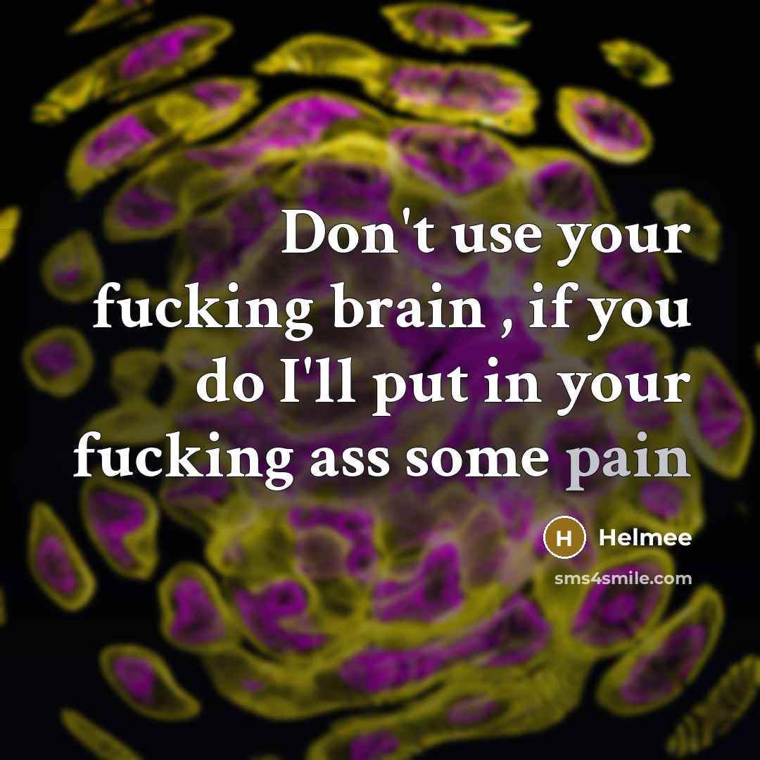 “Don't use your fucking brain , if you do I'll put in your fucking ass some pain” quote by Helmee