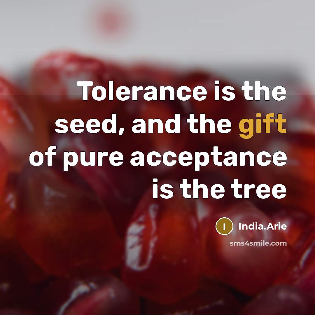 “Tolerance is the seed, and the gift of pure acceptance…” quote by India.Arie