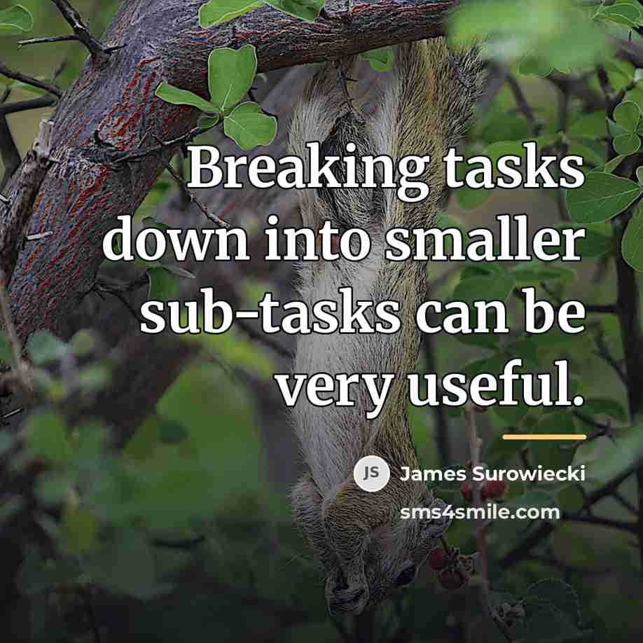 “Breaking tasks down into smaller sub-tasks can be very useful.…” quote by James Surowiecki