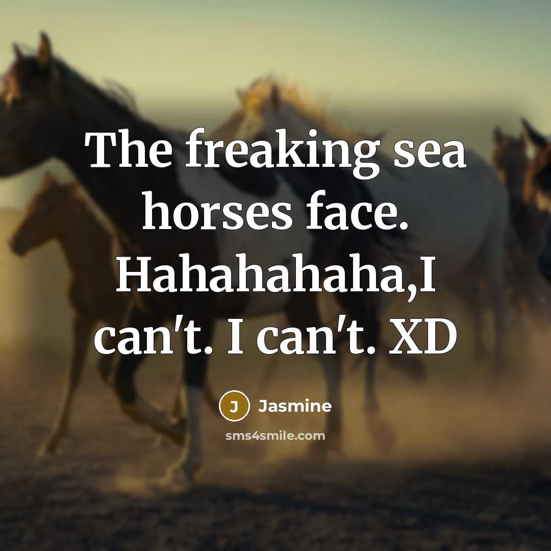 “The freaking sea horses face. Hahahahaha,I can't. I can't. XD…” quote by Jasmine