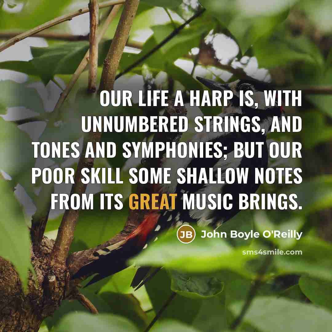 “Our life a harp is, with unnumbered strings, And tones…” quote by John Boyle O'Reilly