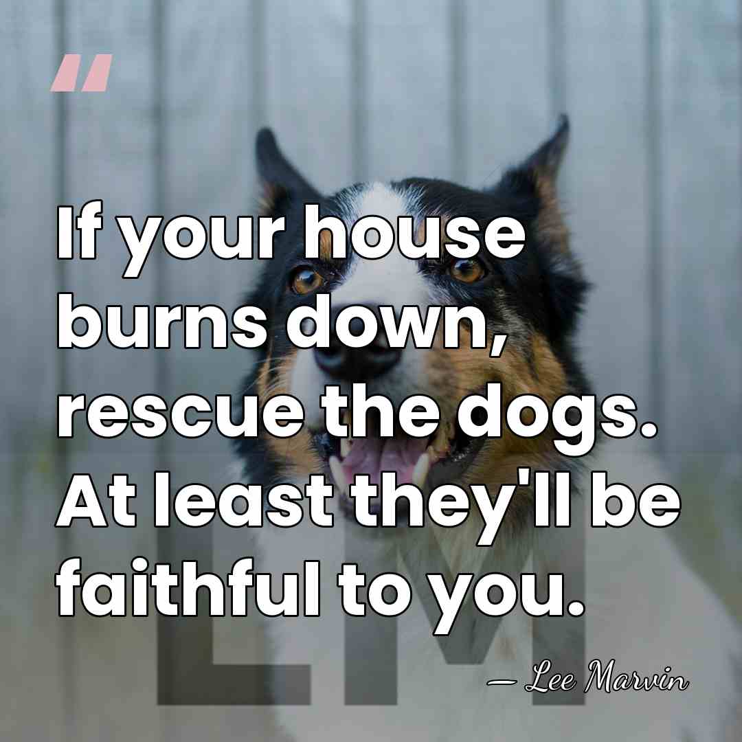 If your house burns down, rescue the dogs. At least they'll be&hellip; - Lee Marvin