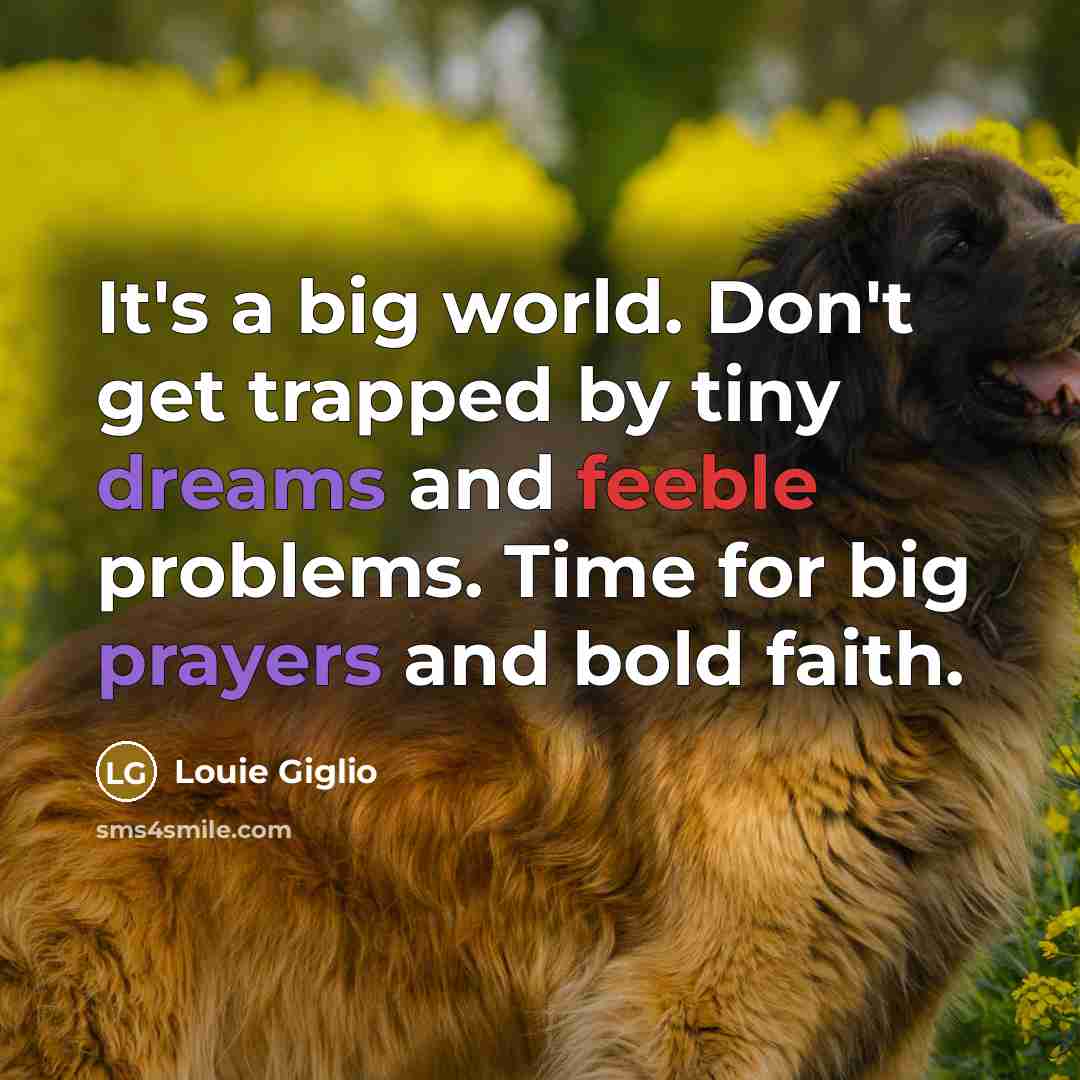 “It's a big world. Don't get trapped by tiny dreams…” quote by Louie Giglio