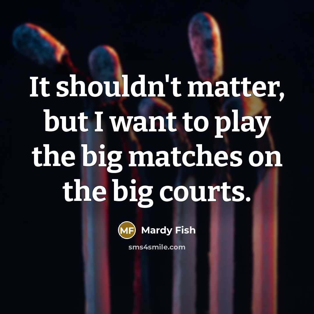 “It shouldn't matter, but I want to play the big…” quote by Mardy Fish