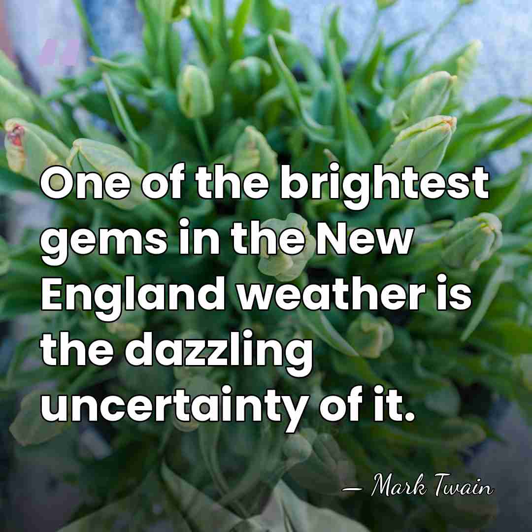 One of the brightest gems in the New England weather is the&hellip; - Mark Twain