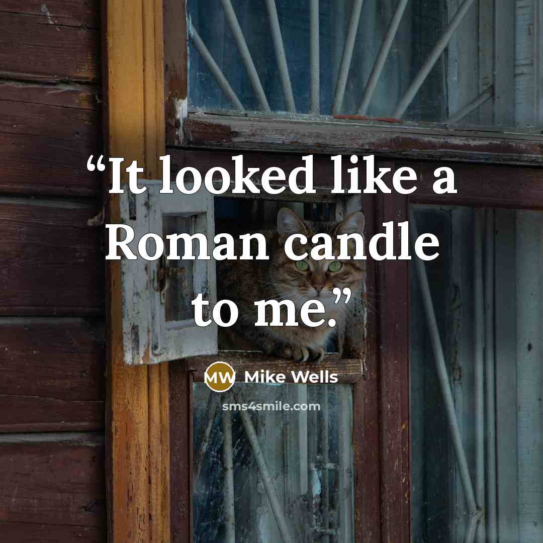 “It looked like a Roman candle to me.” quote by Mike Wells