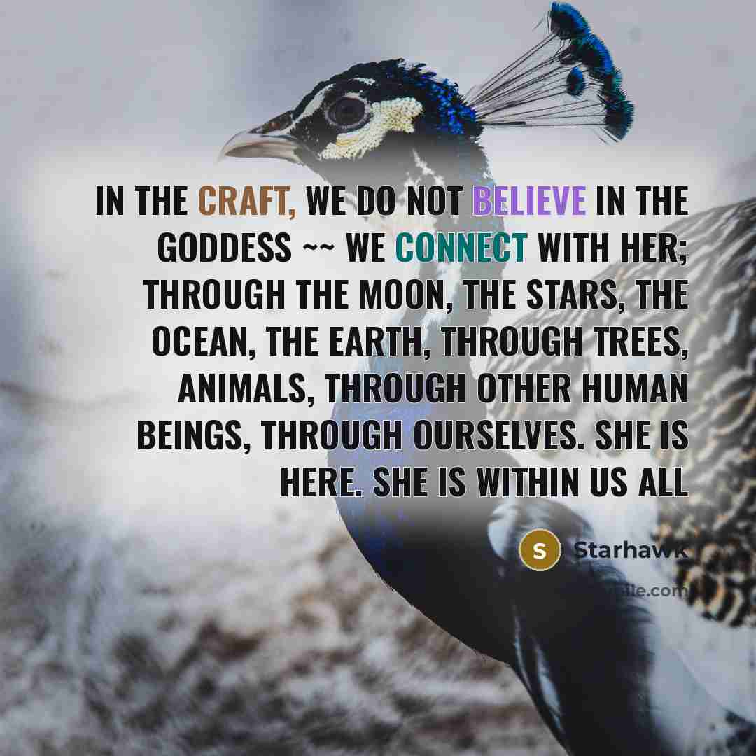 “In the Craft, we do not believe in the Goddess…” quote by Starhawk
