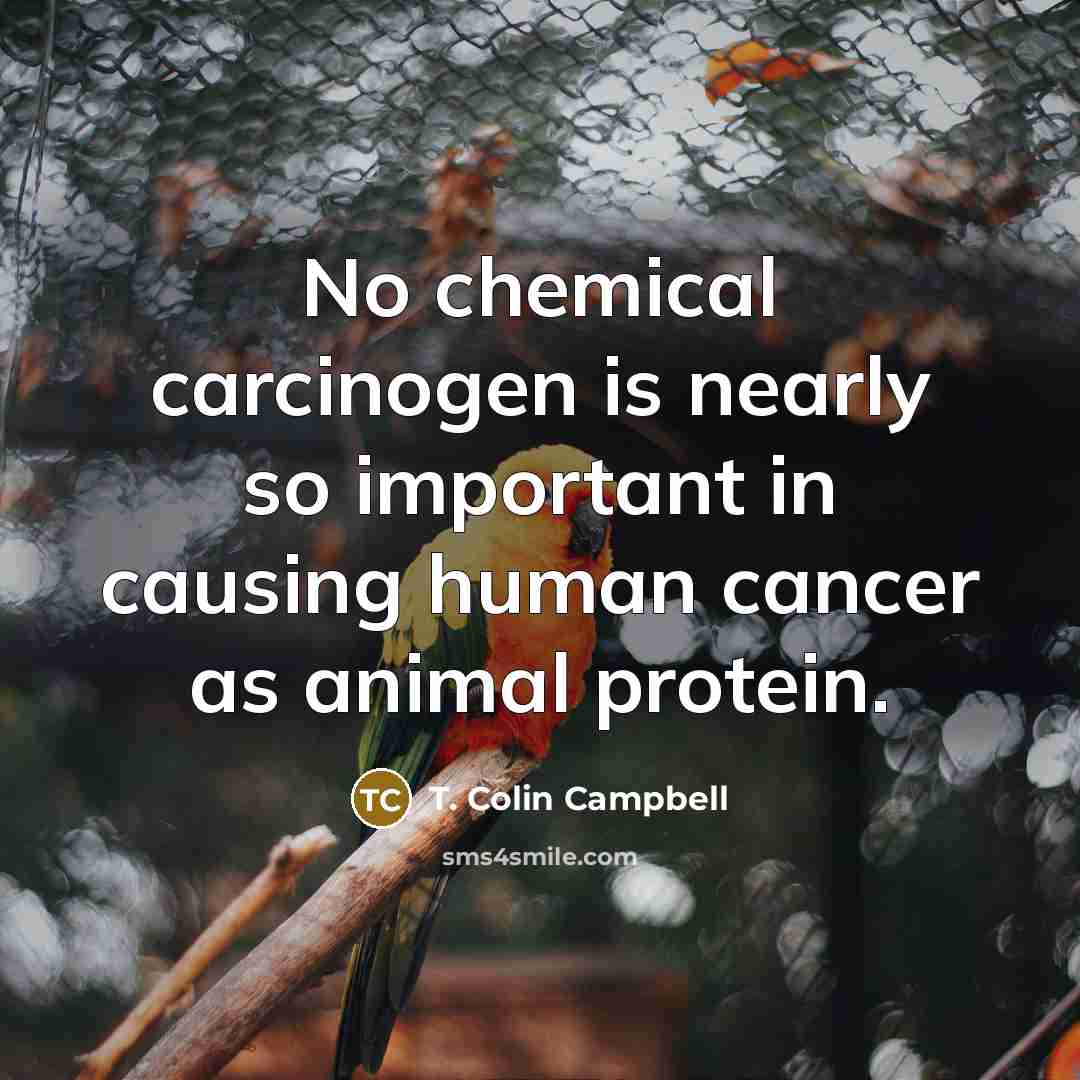 “No chemical carcinogen is nearly so important in causing human…” quote by T. Colin Campbell