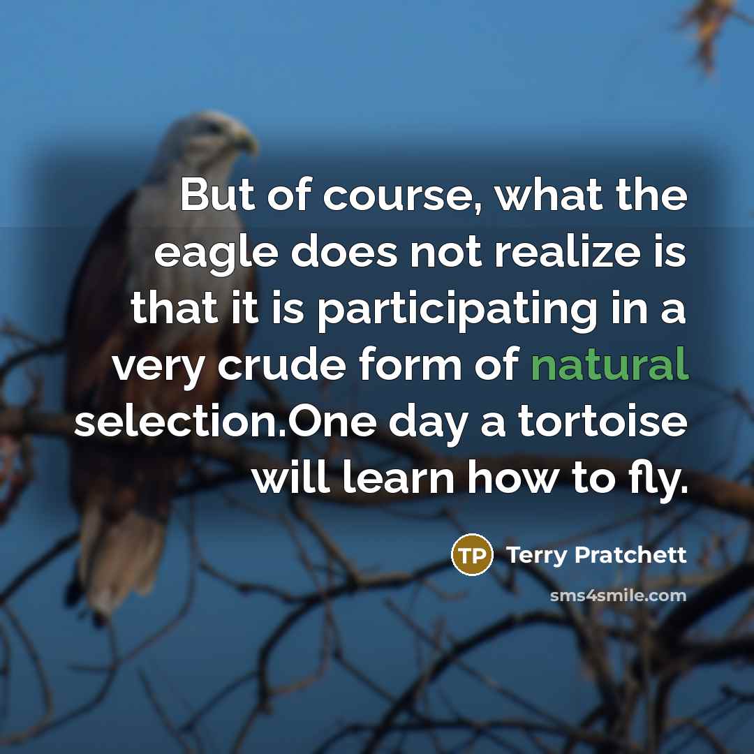 “But of course, what the eagle does not realize is…” quote by Terry Pratchett