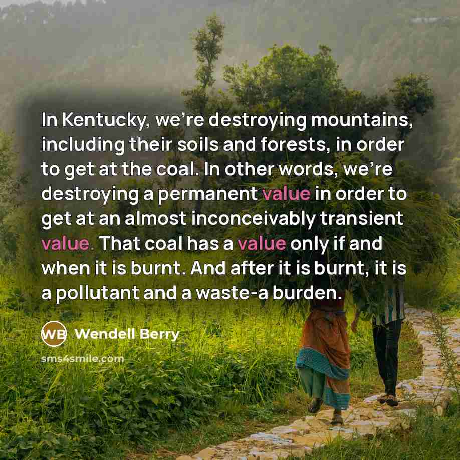 “In Kentucky, we're destroying mountains, including their soils and forests,…” quote by Wendell Berry