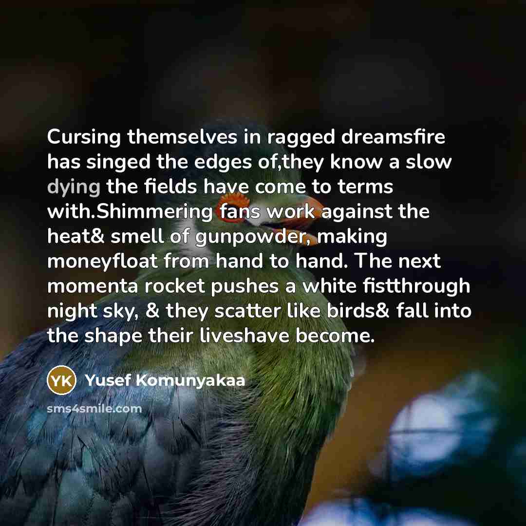 “Cursing themselves in ragged dreamsfire has singed the edges of,they…” quote by Yusef Komunyakaa