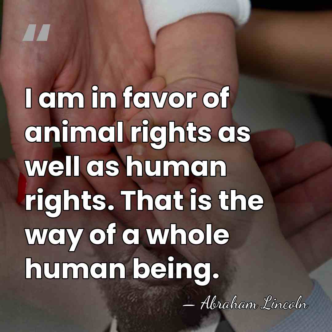 I am in favor of animal rights as well as human rights.&hellip; - Abraham Lincoln