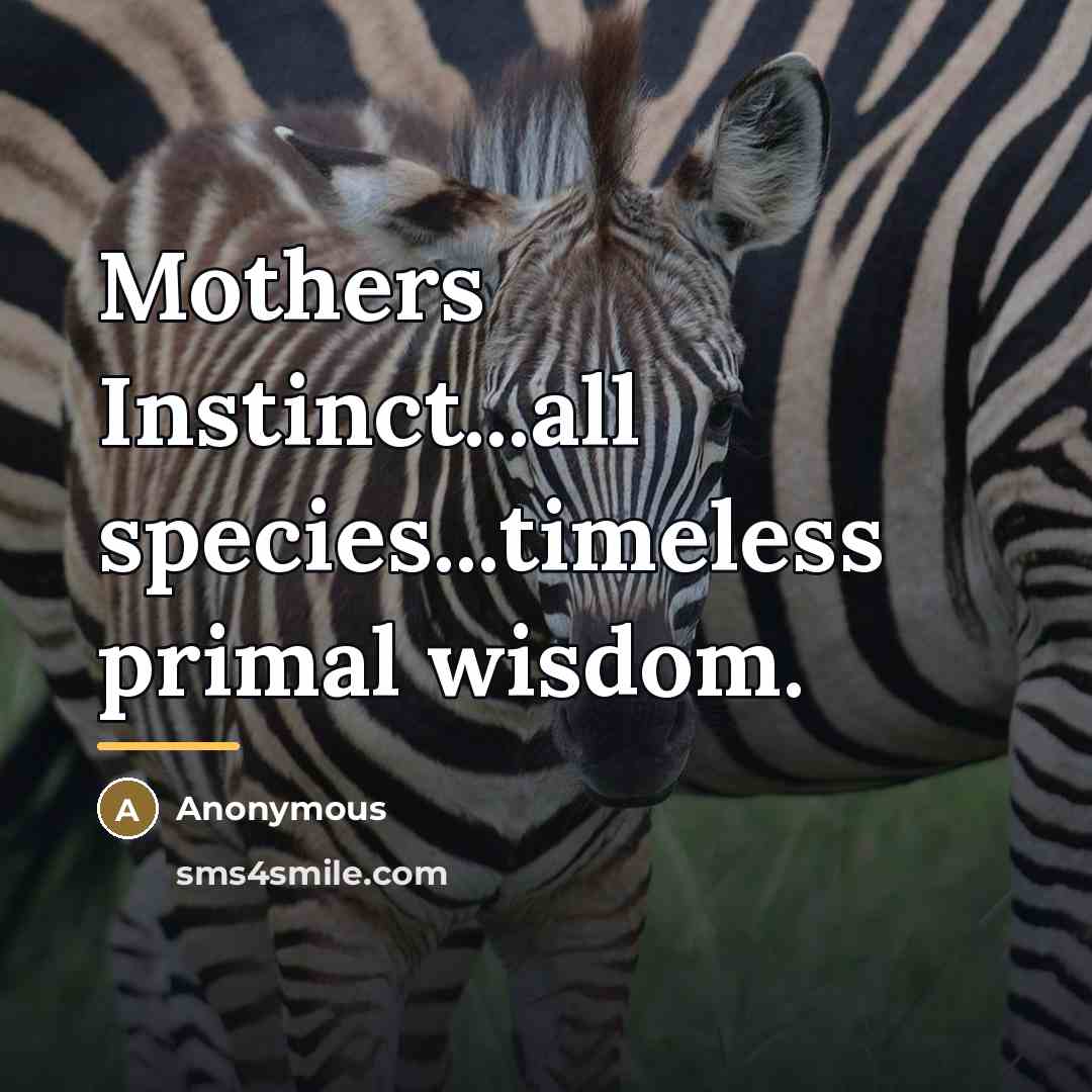 “Mothers Instinct...all species...timeless primal wisdom.…” quote by Anonymous