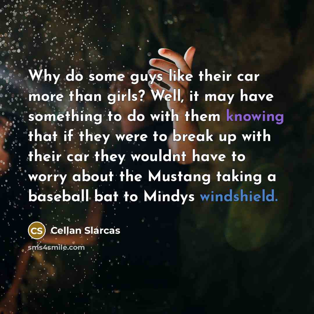 “Why do some guys like their car more than girls? Well, it may have something to do with them knowing that if they were to break up with their car they wouldnt have to worry about the Mustang taking a baseball bat to Mindys windshield.” quote by Cellan Slarcas