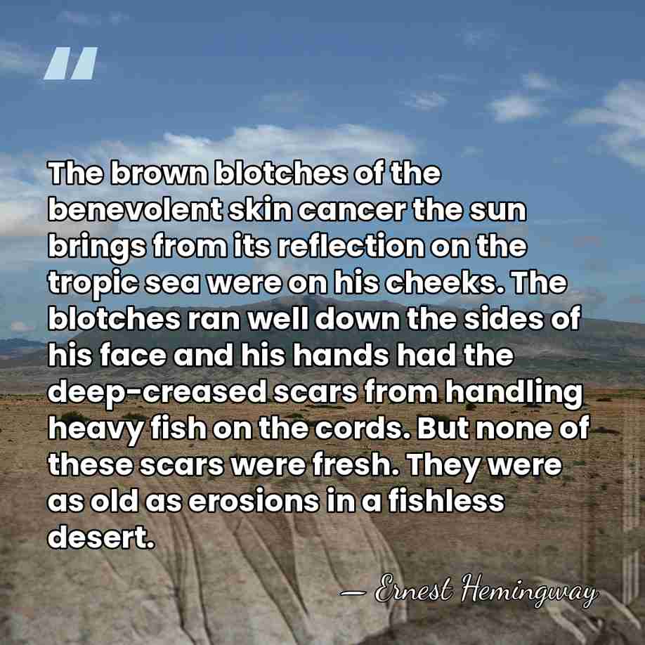 The brown blotches of the benevolent skin cancer the sun brings from&hellip; - Ernest Hemingway