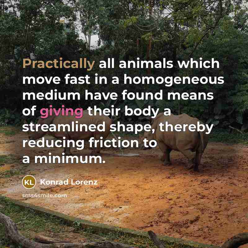 “Practically all animals which move fast in a homogeneous medium have found means of giving their body a streamlined shape, thereby reducing friction to a minimum.” quote by Konrad Lorenz