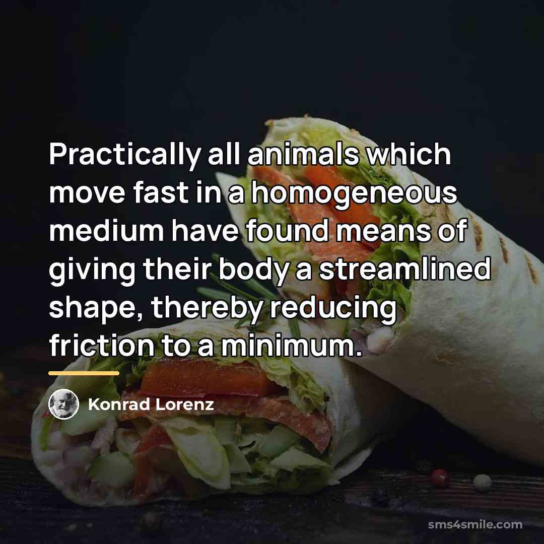 “Practically all animals which move fast in a homogeneous medium…” quote by Konrad Lorenz