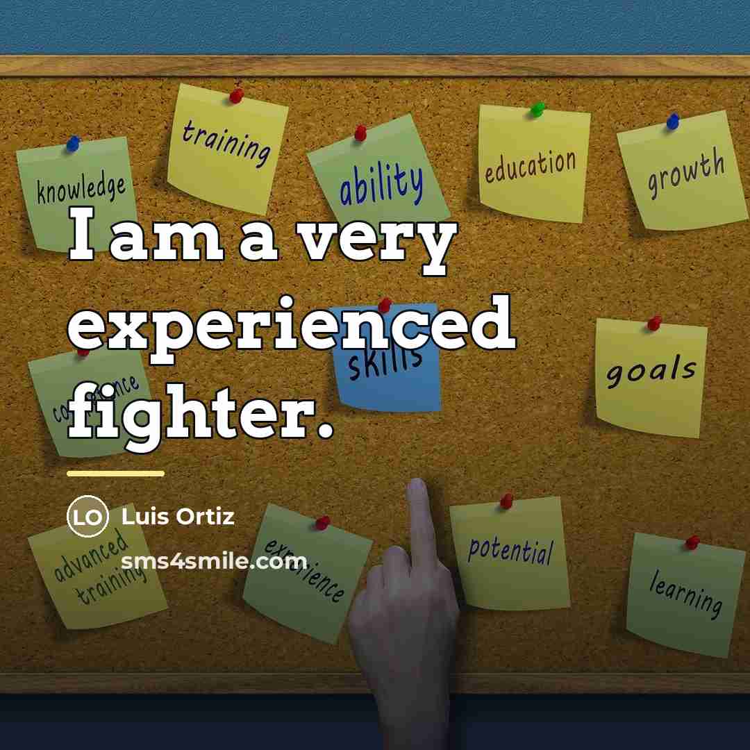 “I am a very experienced fighter.…” quote by Luis Ortiz