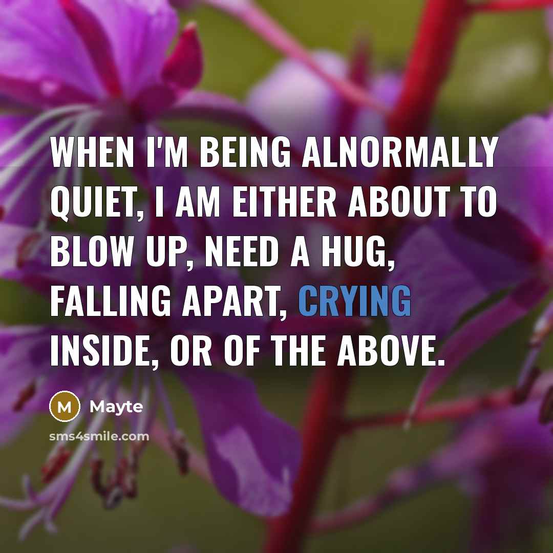 “When I'm being alnormally quiet, I am either about to blow up, need a hug, falling apart, crying inside, or of the above.” quote by Mayte