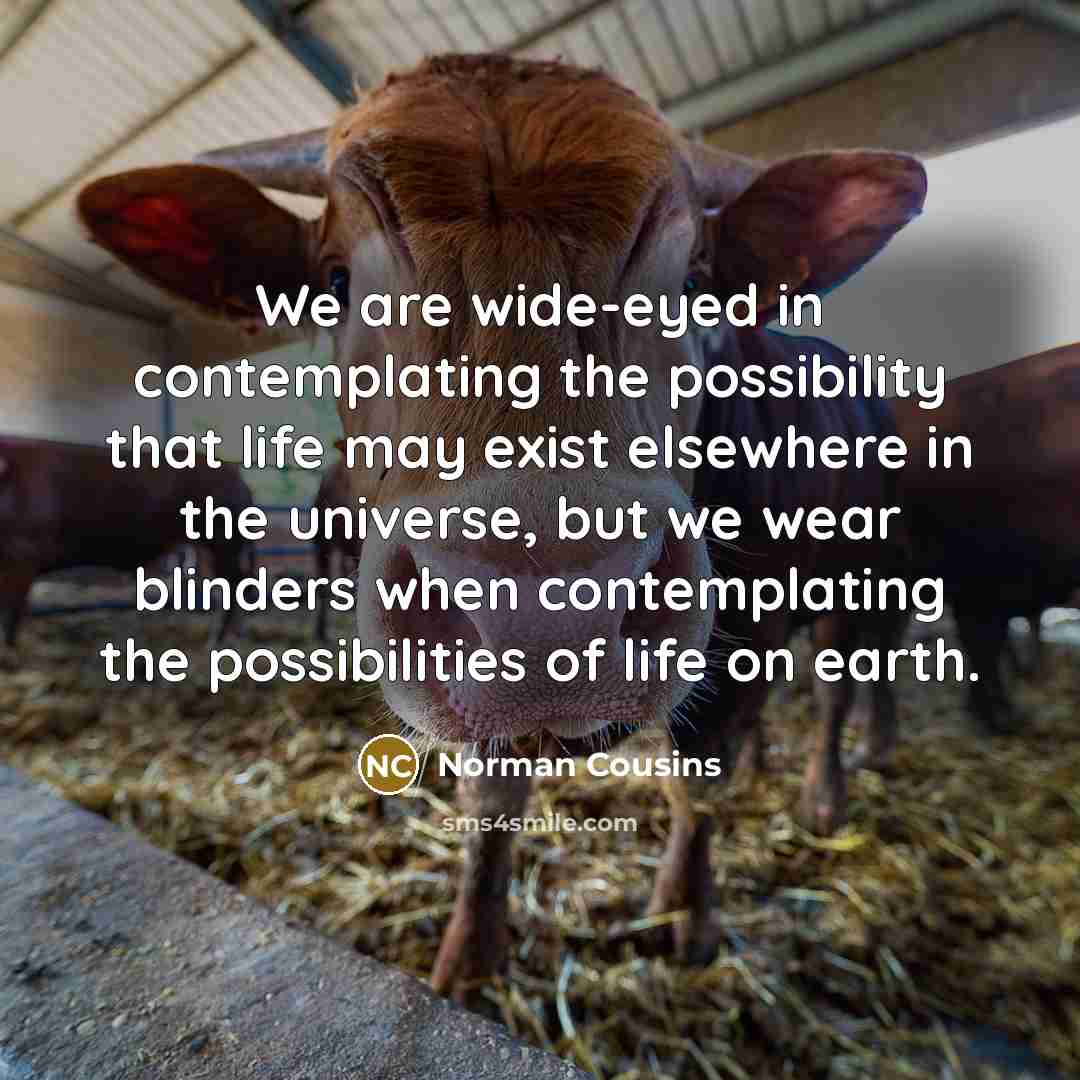 “We are wide-eyed in contemplating the possibility that life may…” quote by Norman Cousins