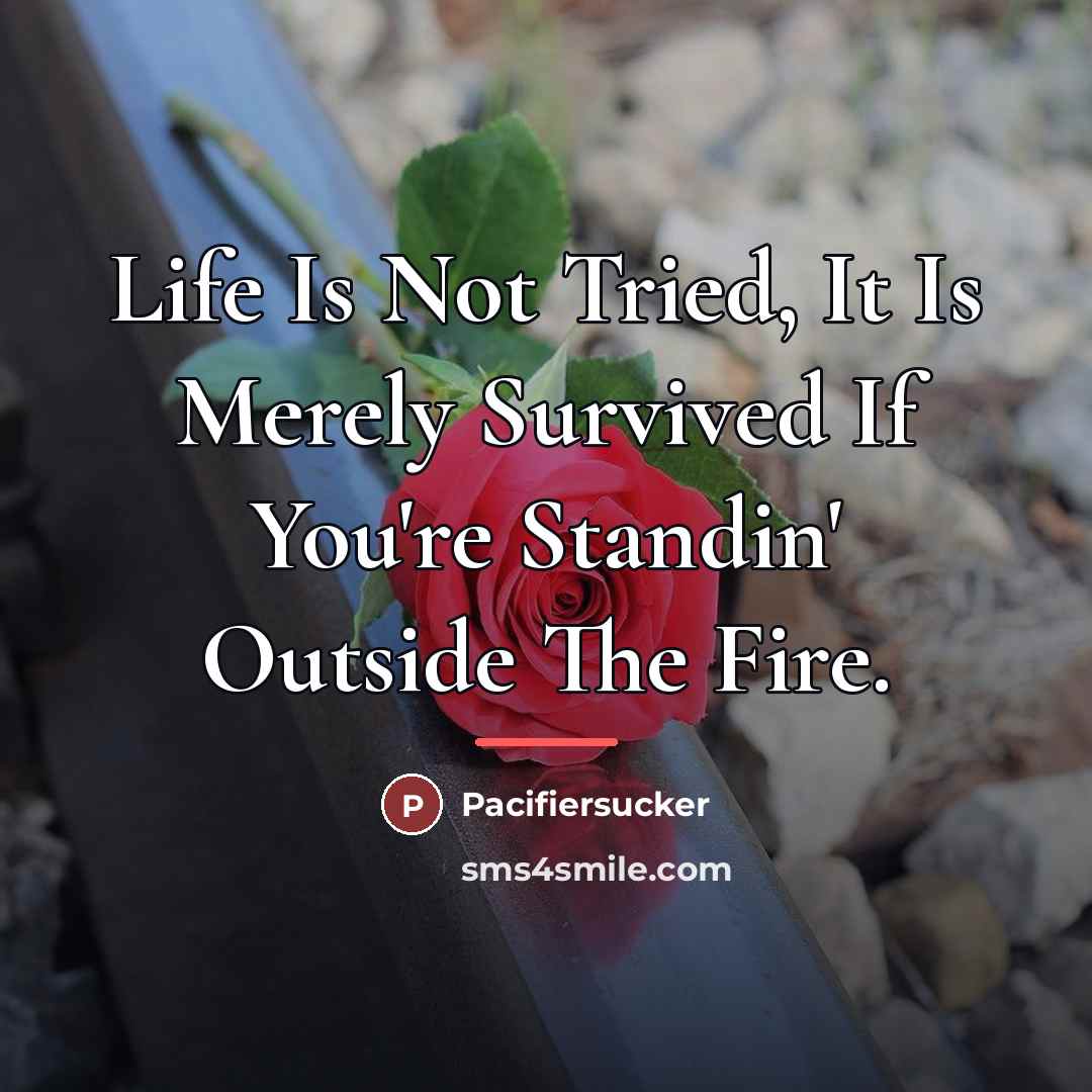 “Life Is Not Tried, It Is Merely Survived If You're…” quote by Pacifiersucker