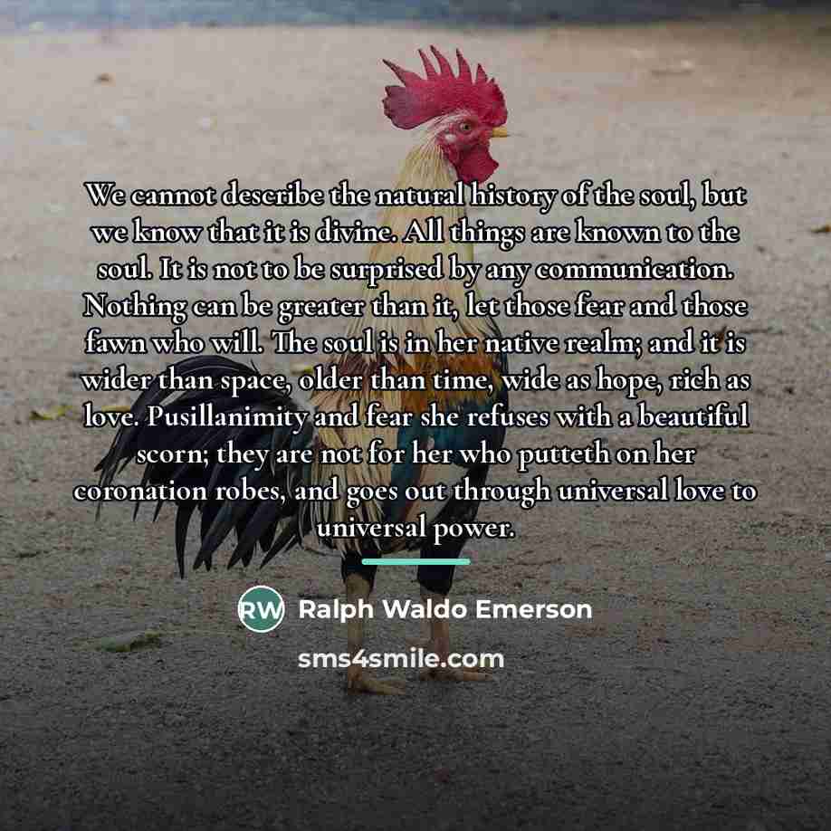 “We cannot describe the natural history of the soul, but…” quote by Ralph Waldo Emerson