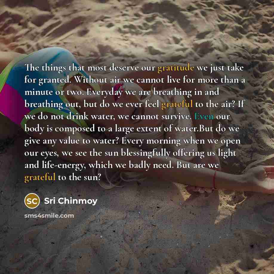 “The things that most deserve our gratitude we just take…” quote by Sri Chinmoy