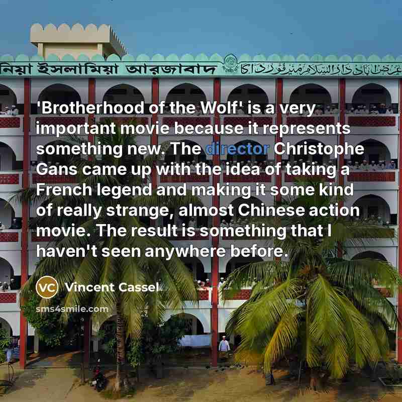 “'Brotherhood of the Wolf' is a very important movie because…” quote by Vincent Cassel