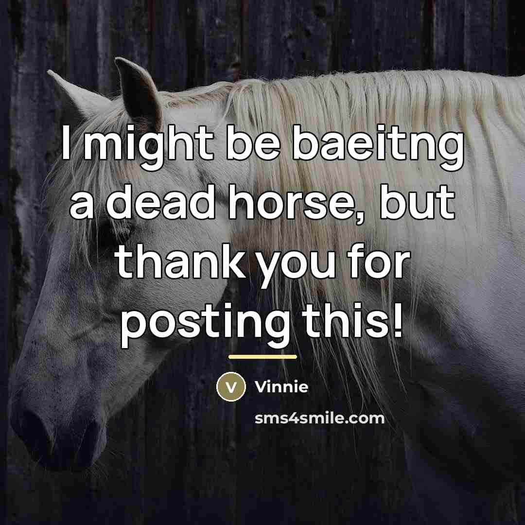 “I might be baeitng a dead horse, but thank you…” quote by Vinnie
