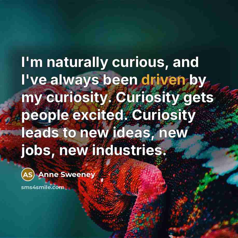 “I'm naturally curious, and I've always been driven by my…” quote by Anne Sweeney