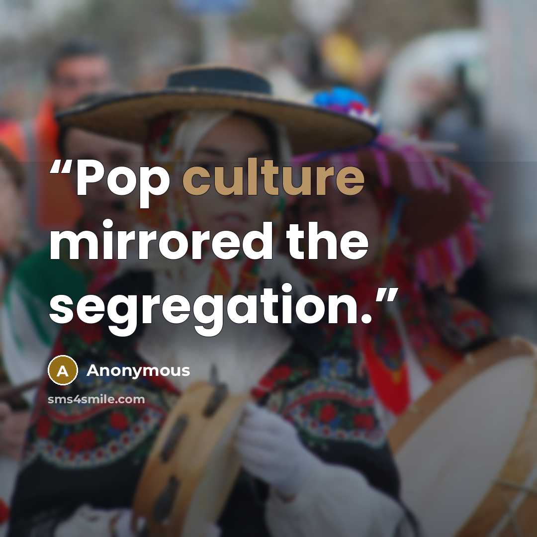 “Pop culture mirrored the segregation.” quote by Anonymous